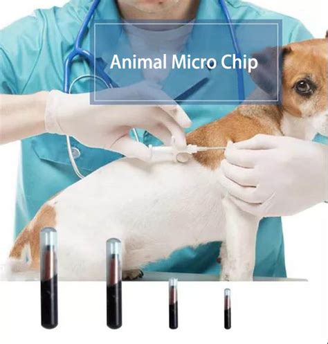 rfid implants for dogs